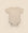 Comfy baby short sleeve bodysuit - Heather oat Lummi in Colour Babywear
