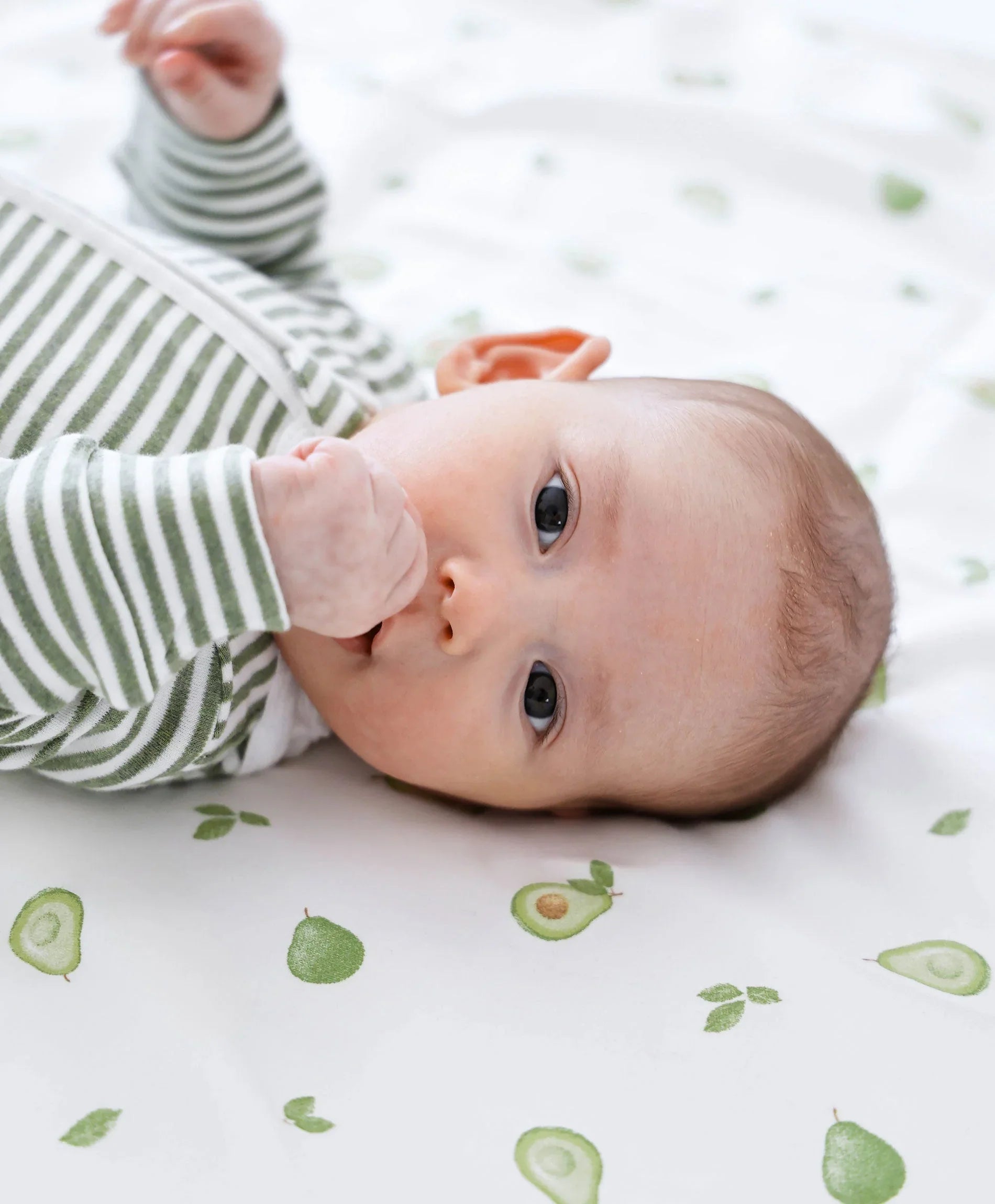 Organic Cotton Cot Sheet - Avocados