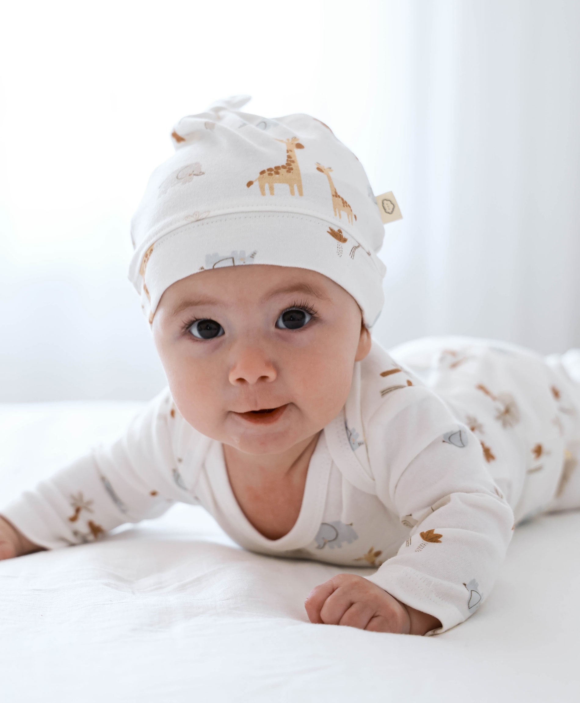 6PC Essentials Set - Safari
