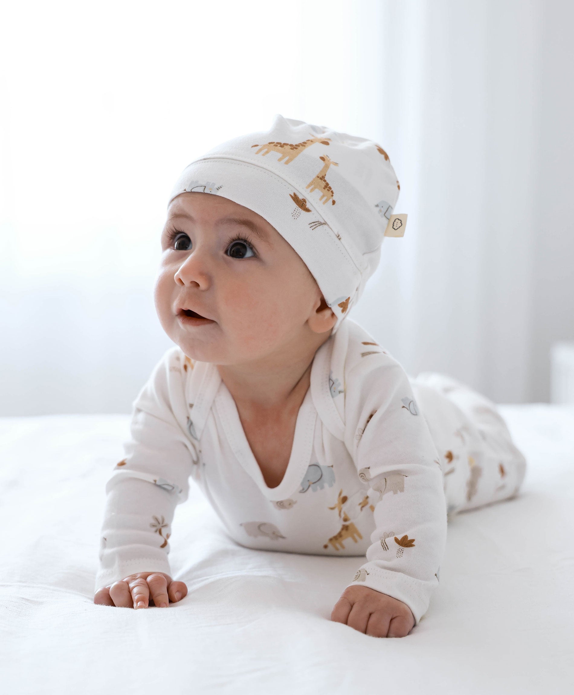6PC Essentials Set - Safari