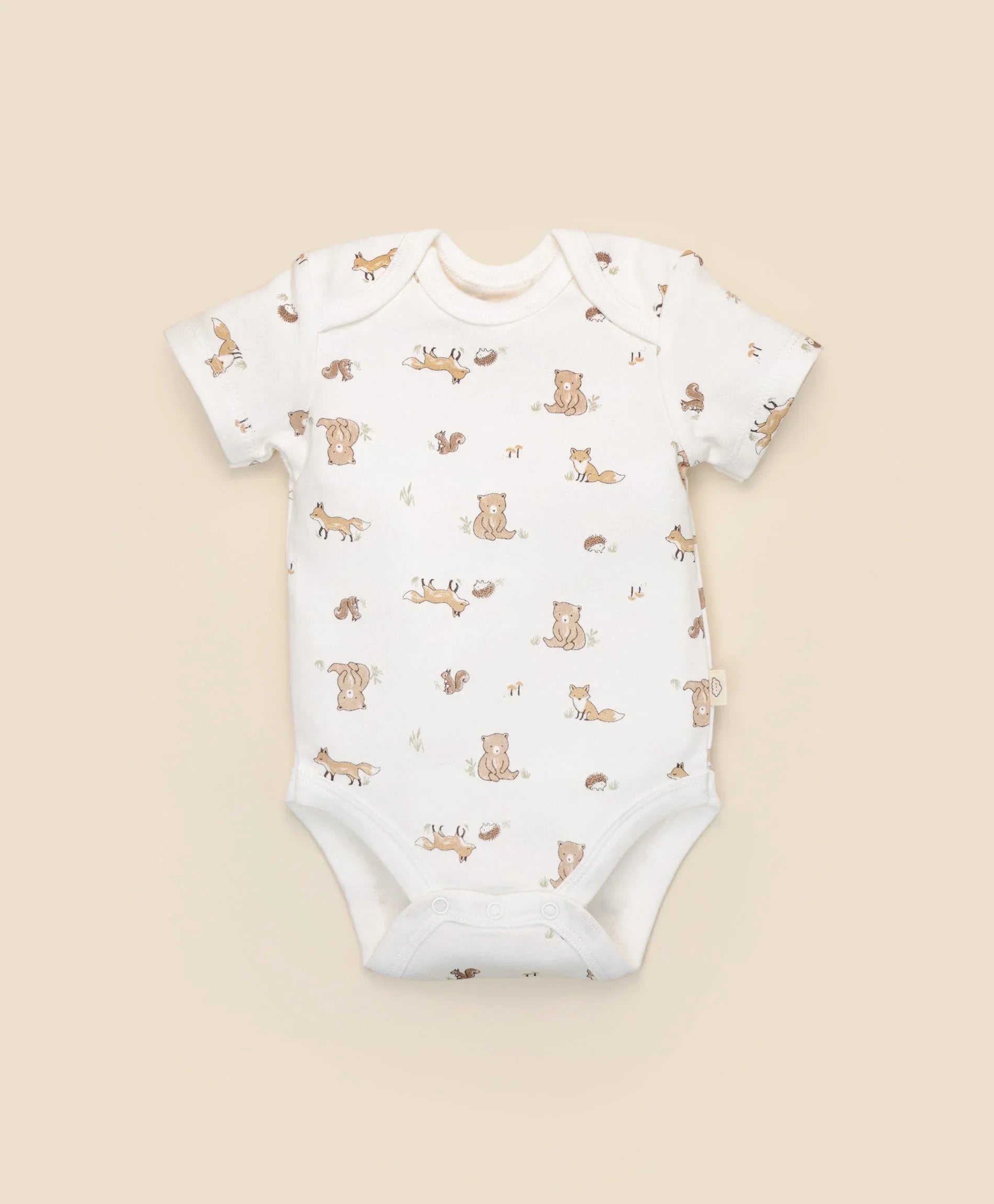 Short sleeve bodysuit - Bear & Fox Lummi in Colour Babywear